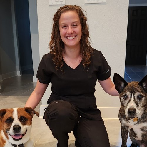 Dr. Rebecca Braun